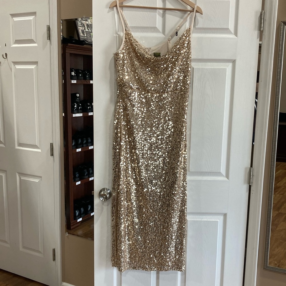 Champagne sequin dress